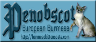 Penobscot logo